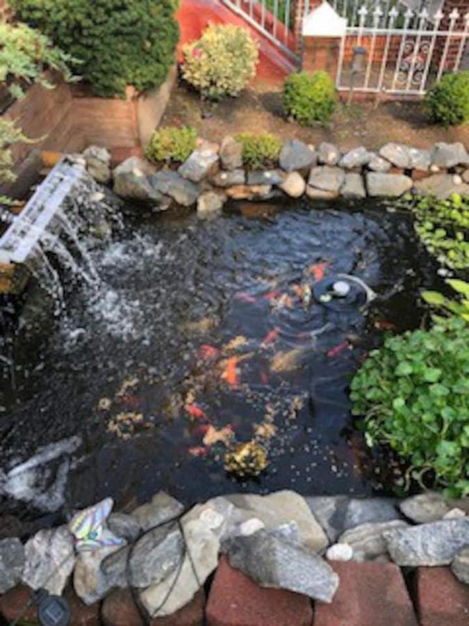 Beautiful Brooklyn Koi-Fish Pond-Garden Residence New York Buitenkant foto